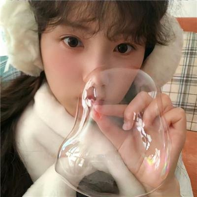 狼群的冲突